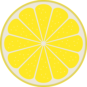 Lemon slice by Rones