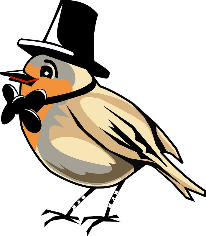 robin