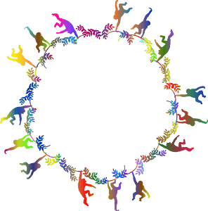 Monkeys Frame Polyprismatic