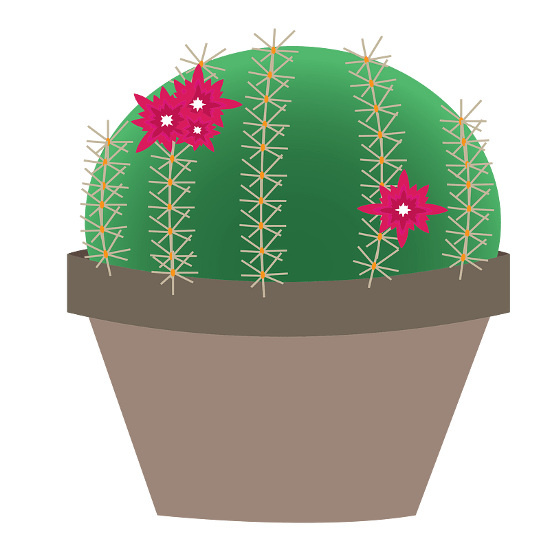 Blooming Cactus