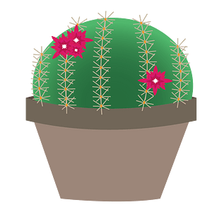 Blooming Cactus