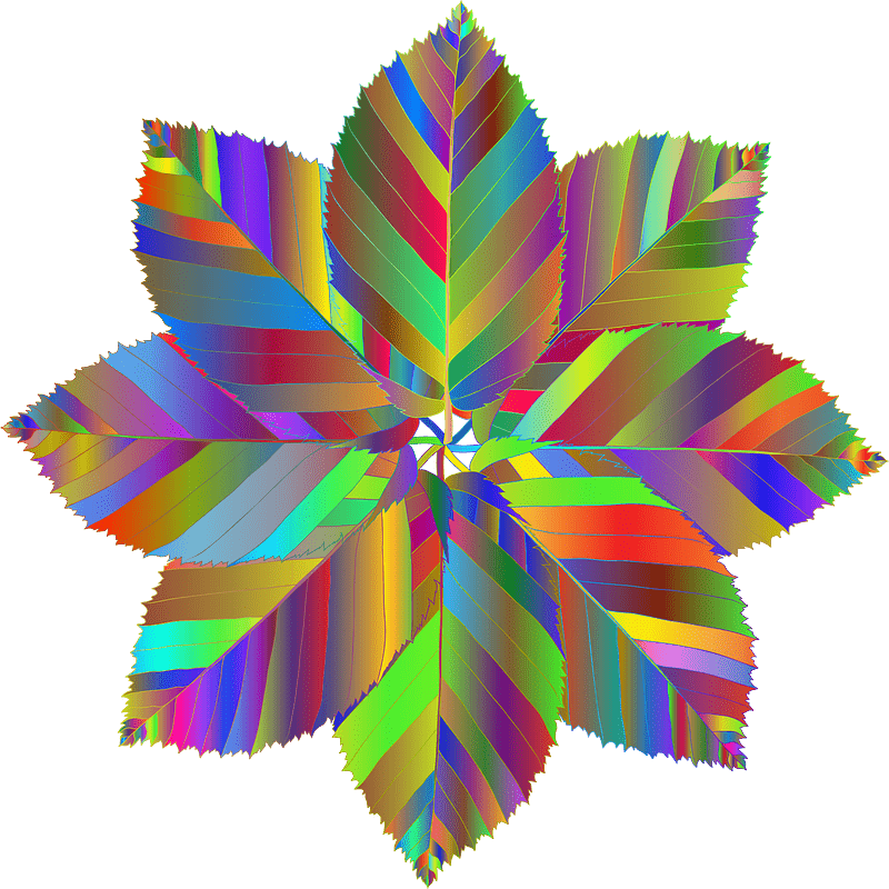 Autumnal Star