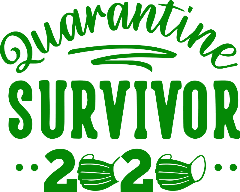 Quarantine survivor 2020