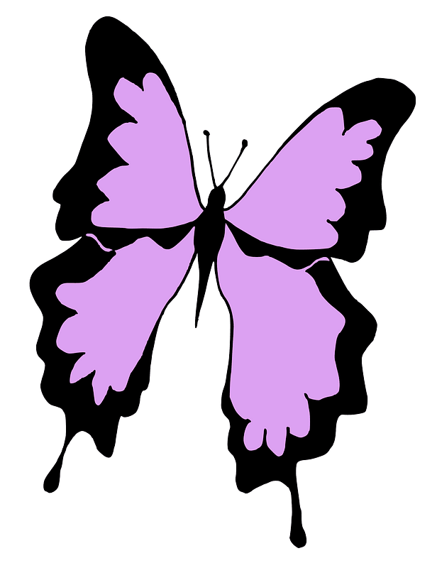 Purple butterfly