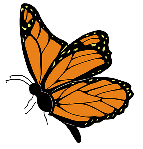 Orange butterfly