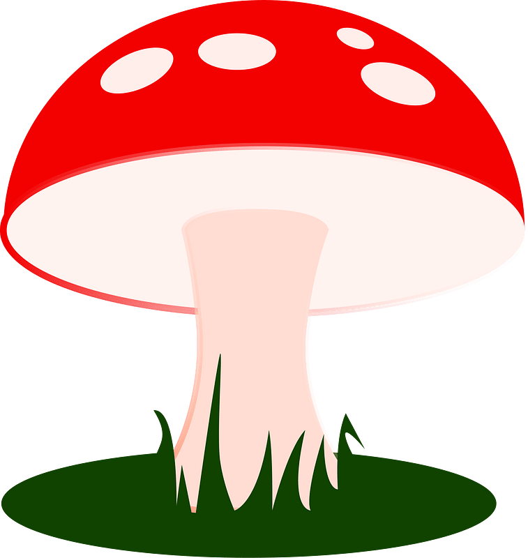 Fungus