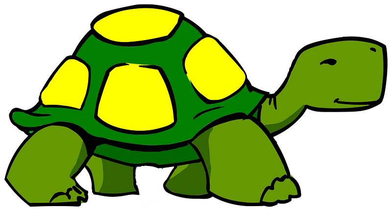 walking turtle or tortoise