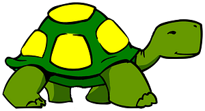 walking turtle or tortoise