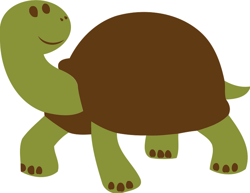 friendly turtle or tortoise