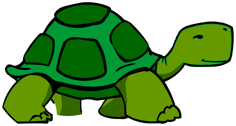walking turtle or tortoise #2