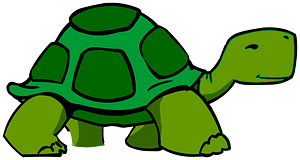 walking turtle or tortoise #2