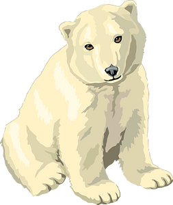 Baby polar bear cub
