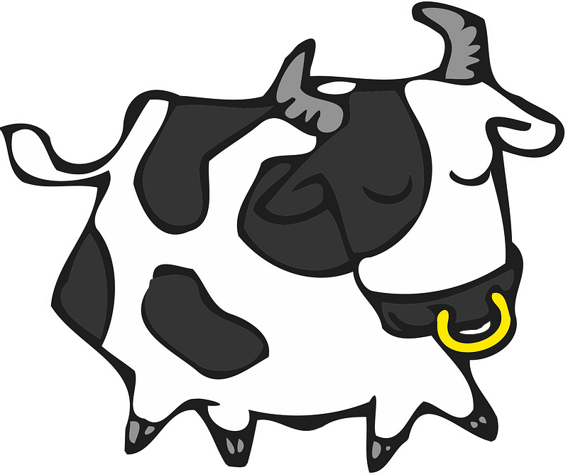 cute cow or bull