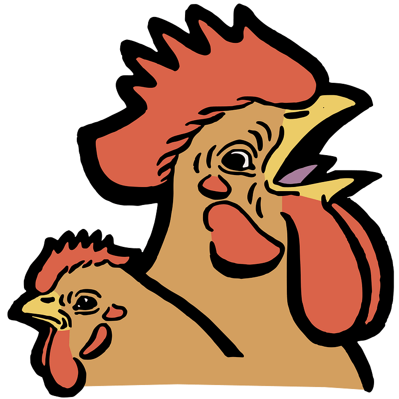 Rooster and a Hen