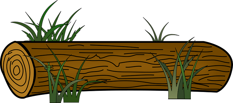 Log in the Grass