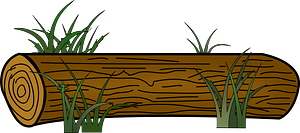 Log in the Grass