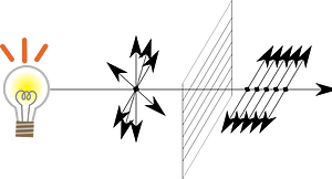 Horizontal polarized light