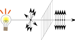 Vertically polarized light