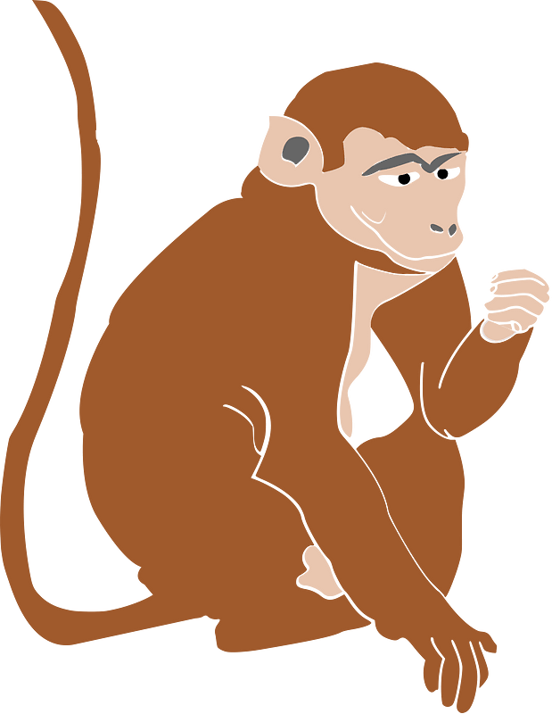 Philippine Monkey