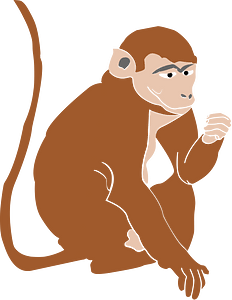 Philippine Monkey