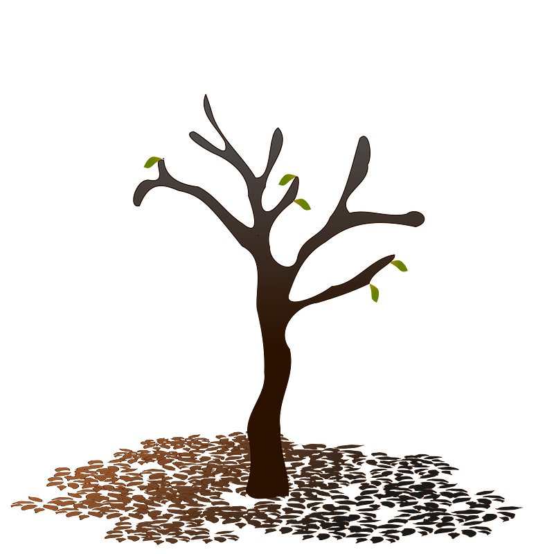 Leaves to the ground