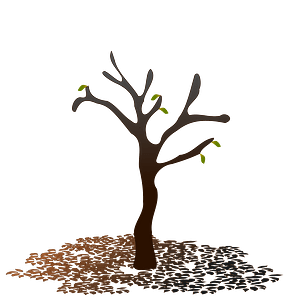 Leaves to the ground