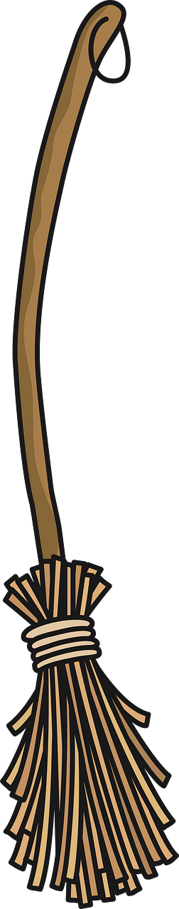 Just a Classic Broom