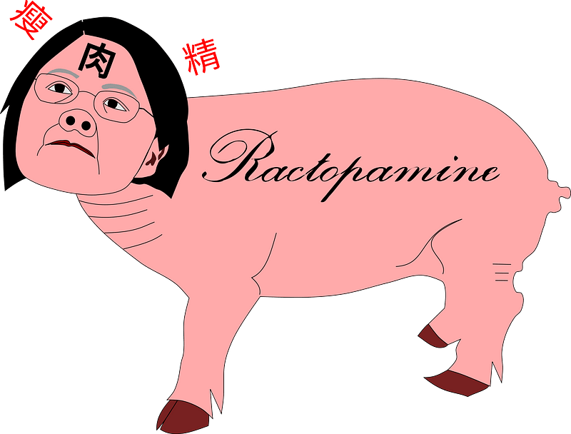 ractopamine pig
