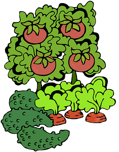 Garden with vegetables