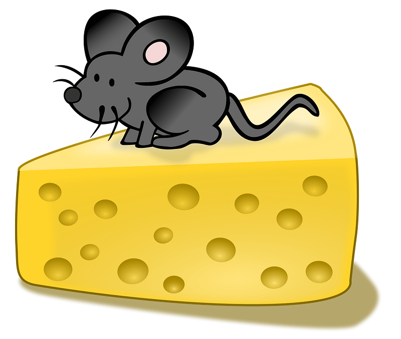 Mouse on Cheese