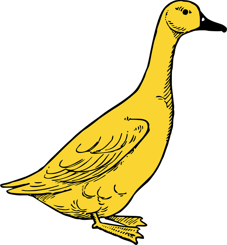 Goose