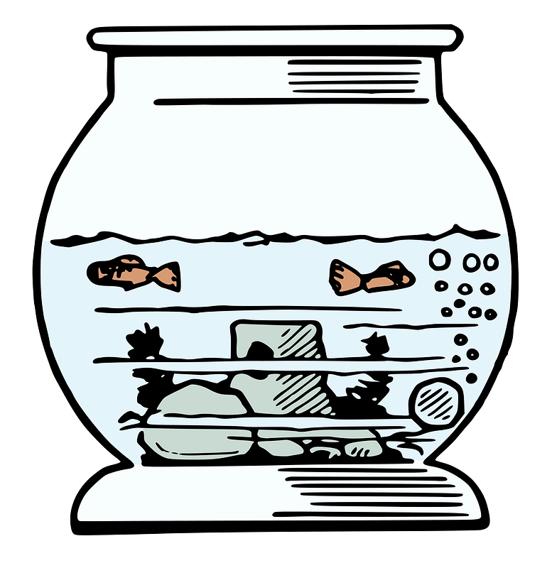 Fishtank with Fishes