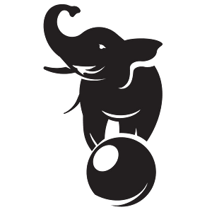 Elephant on ball