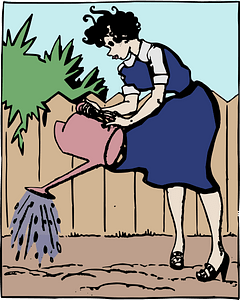 Watering Garden