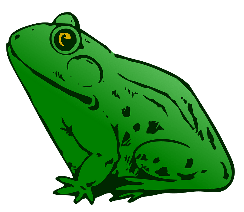 Frog - New Version