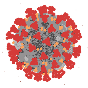 COVID-19 virus ultrastructure