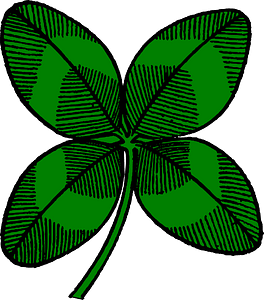 Four leaf clover