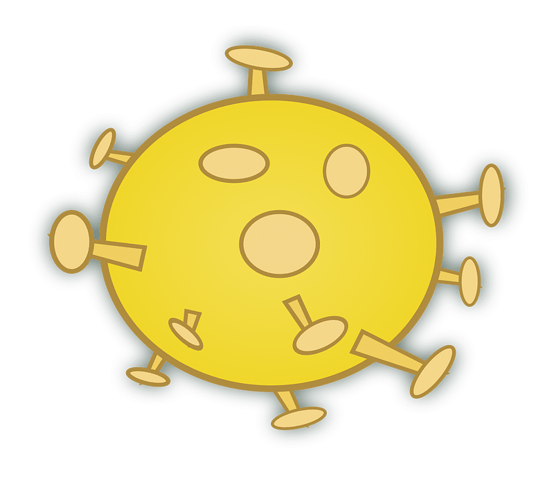 Wuhan Corona Virus - Isolated