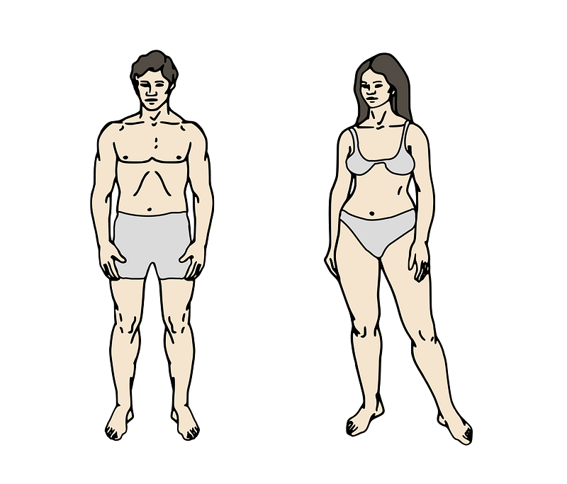 Body Parts Chart