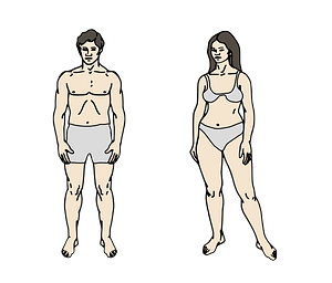 Body Parts Chart