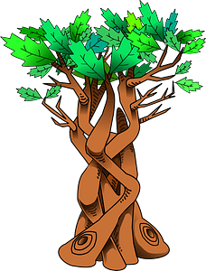 knotty tree