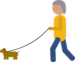 Person walking a dog