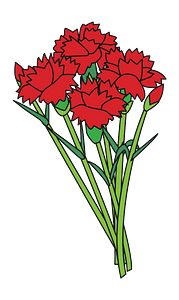 Carnations Bounquet Flowers