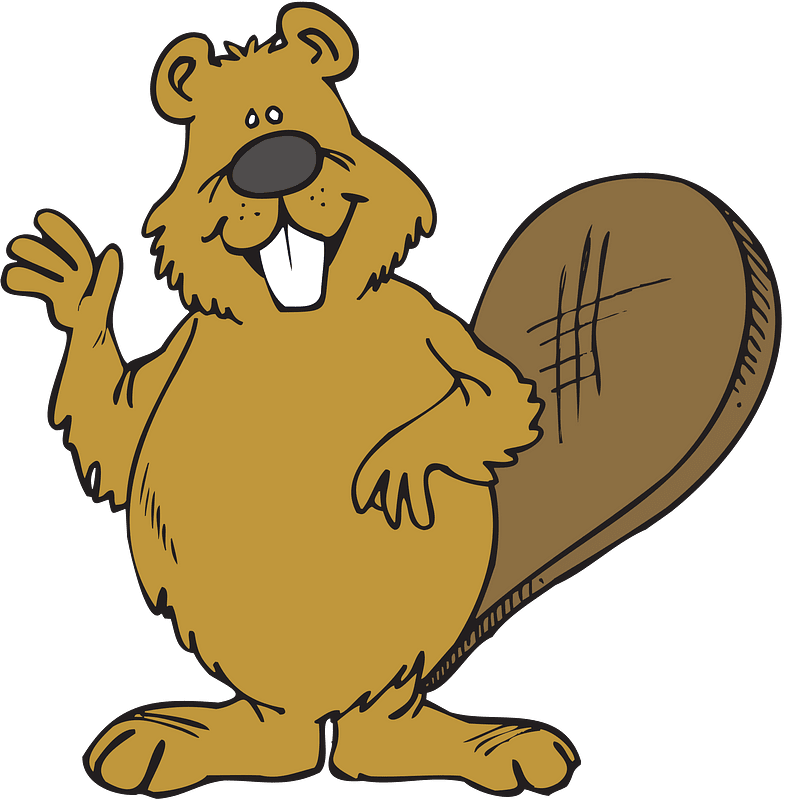 Beaver (#2)