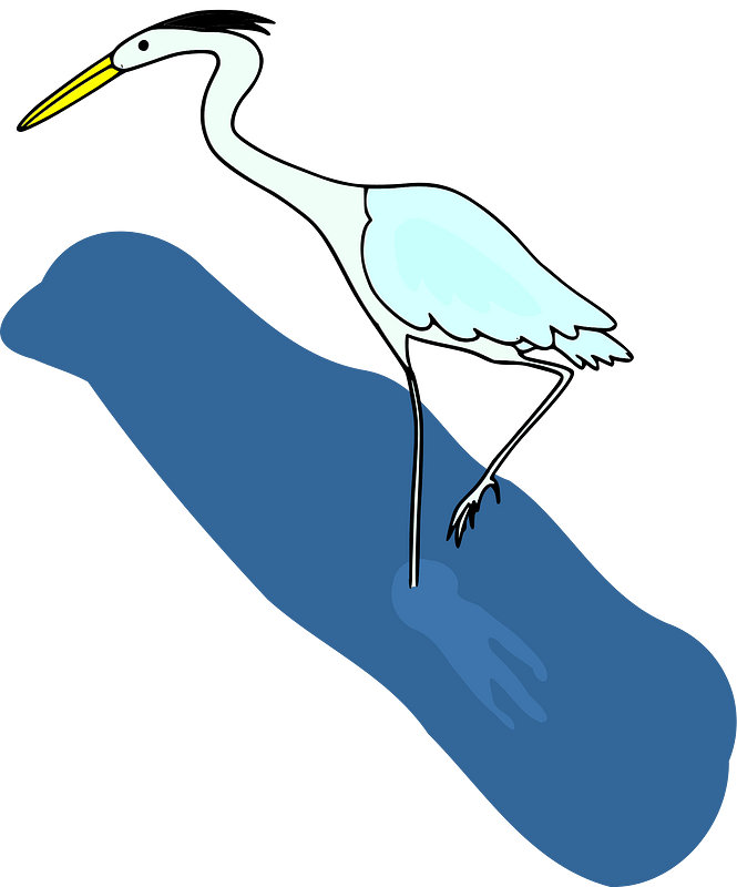 Crane in a River