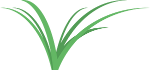 Bit of greenery