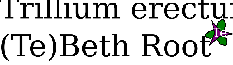 Trillium erectum landscape plant icon