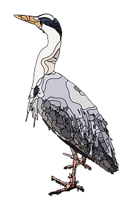 Bird Abstract Isolated