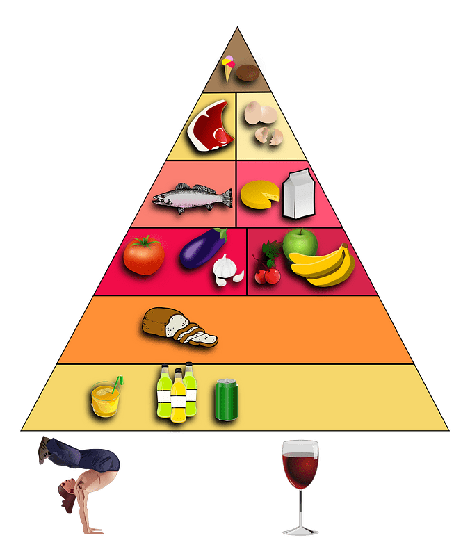 Food Pyramid No Text
