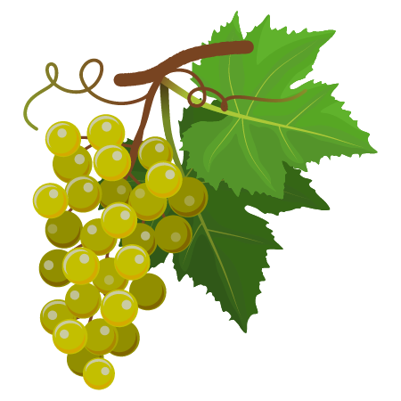 Grapes